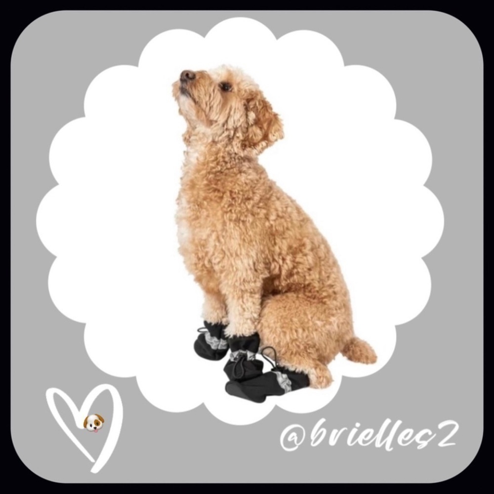 🐶 2 Sizes Available 🐶 New Justice Doggie Booties - Size Small or Large